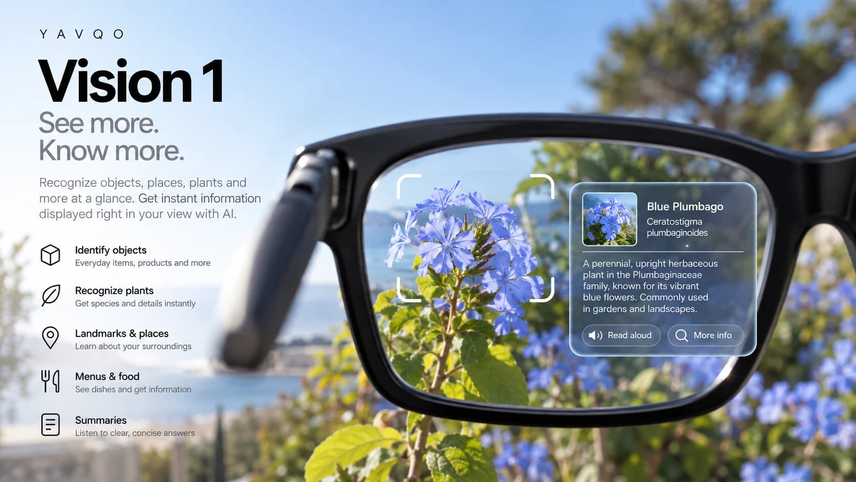 A view through Vision 1 lenses identifying a blue plumbago flower, with options to read the answer aloud or get more information.